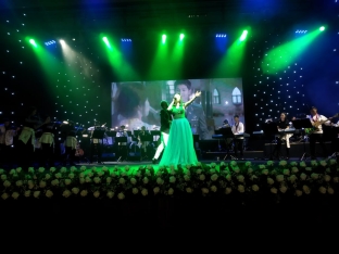 Heydər Əliyev Sarayında “Koreya serialları dünyası” saundtrek konserti təqdim olunub